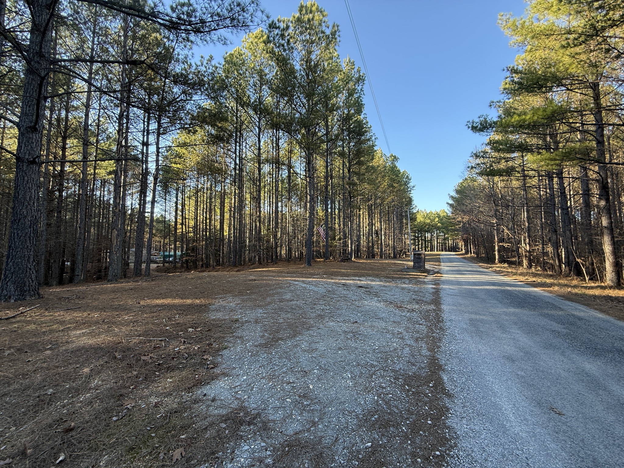 1239 Bald Knob Road Holladay, TN 38341 - Photo 5 of 25 a view of road with trees