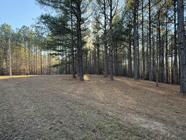$225,000 | 1239 Bald Knob Road, Holladay, TN 38341