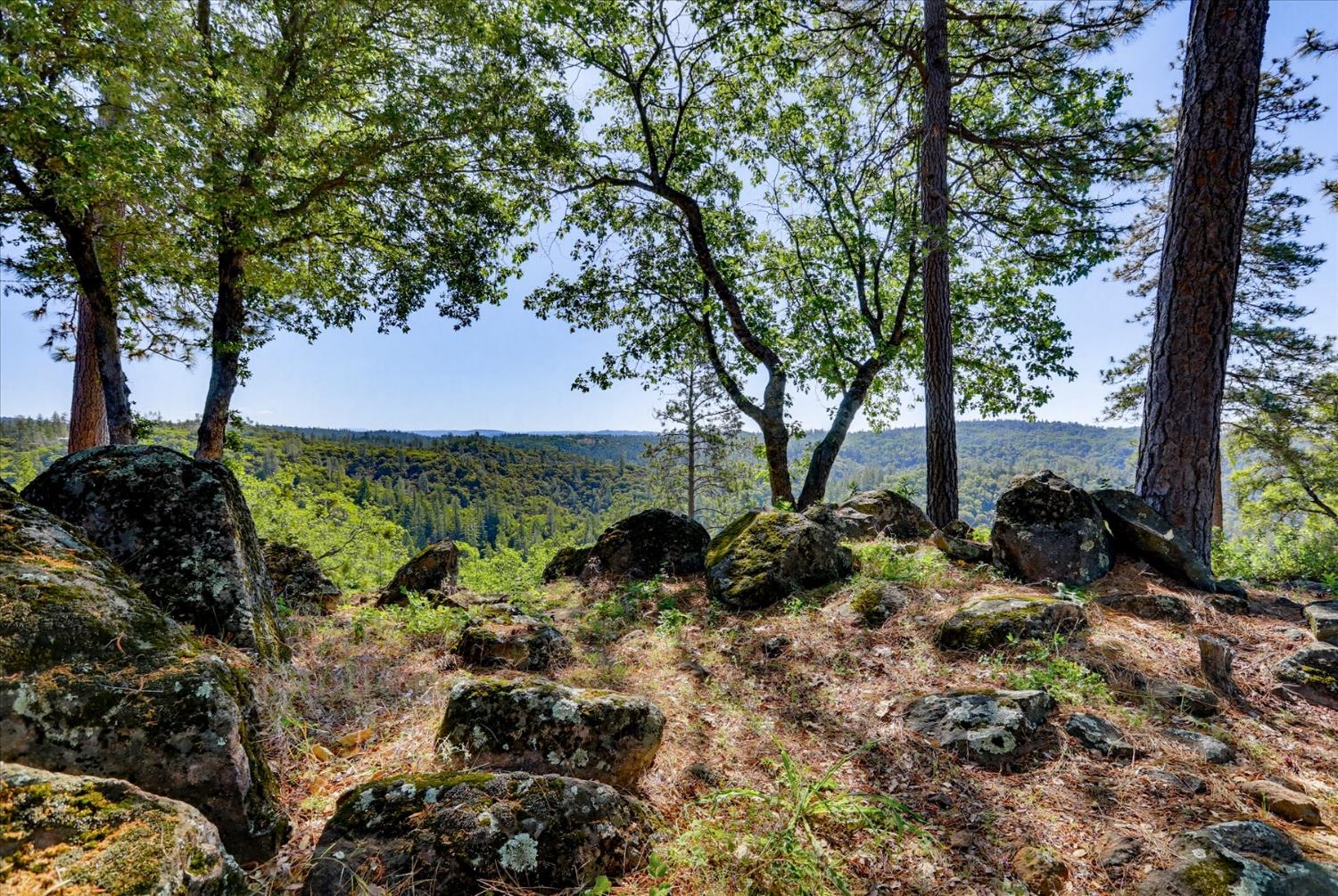 20111 Tanglewood Road Grass Valley, CA 95945 - Photo 79 of 93