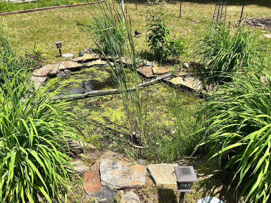3508 Brodie Road South Branch, MI 48761 - Photo 23 of 35 Frog pond