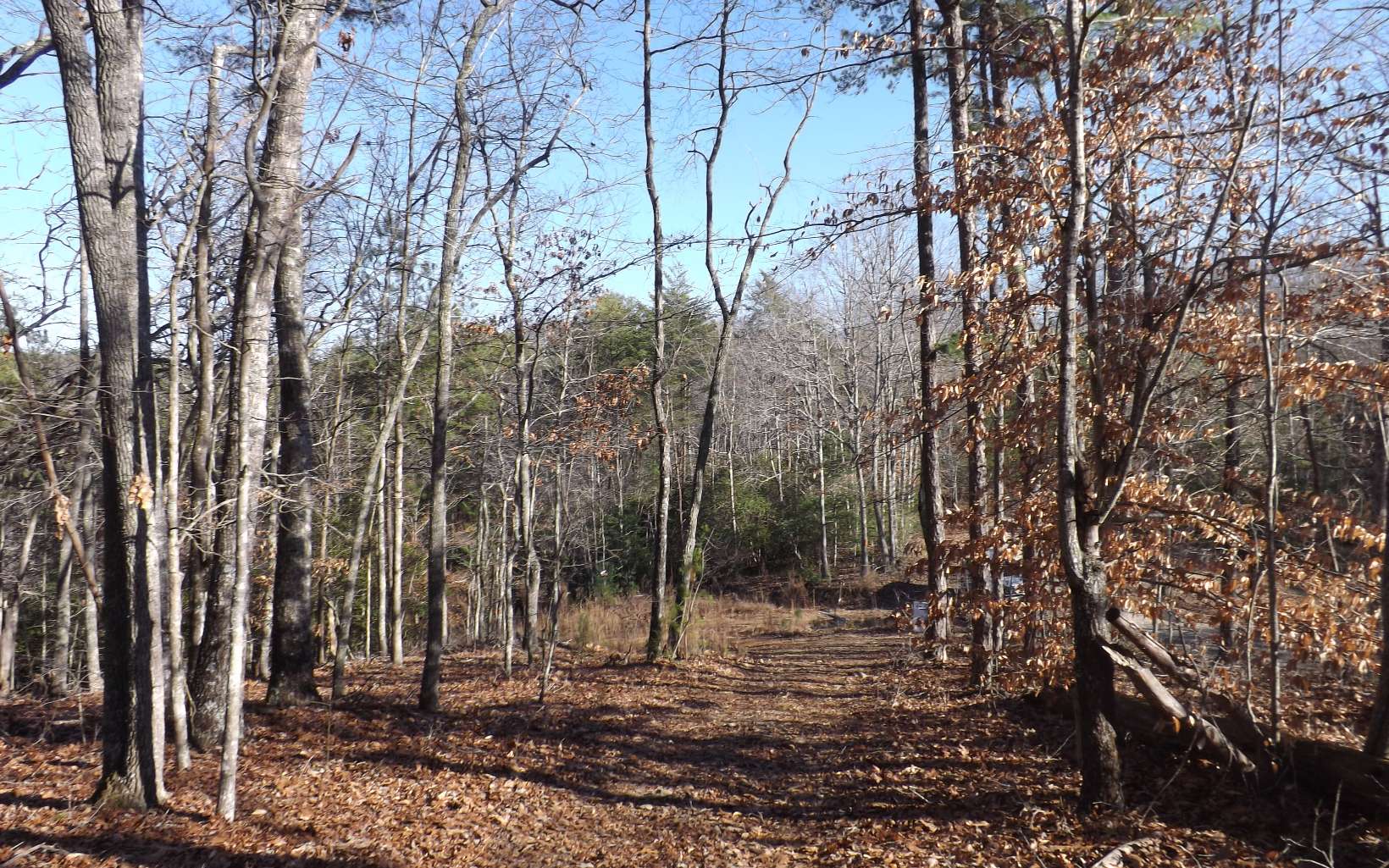 Sam Dye Road Young Harris, GA 30582 - Photo 1 of 1 Main View