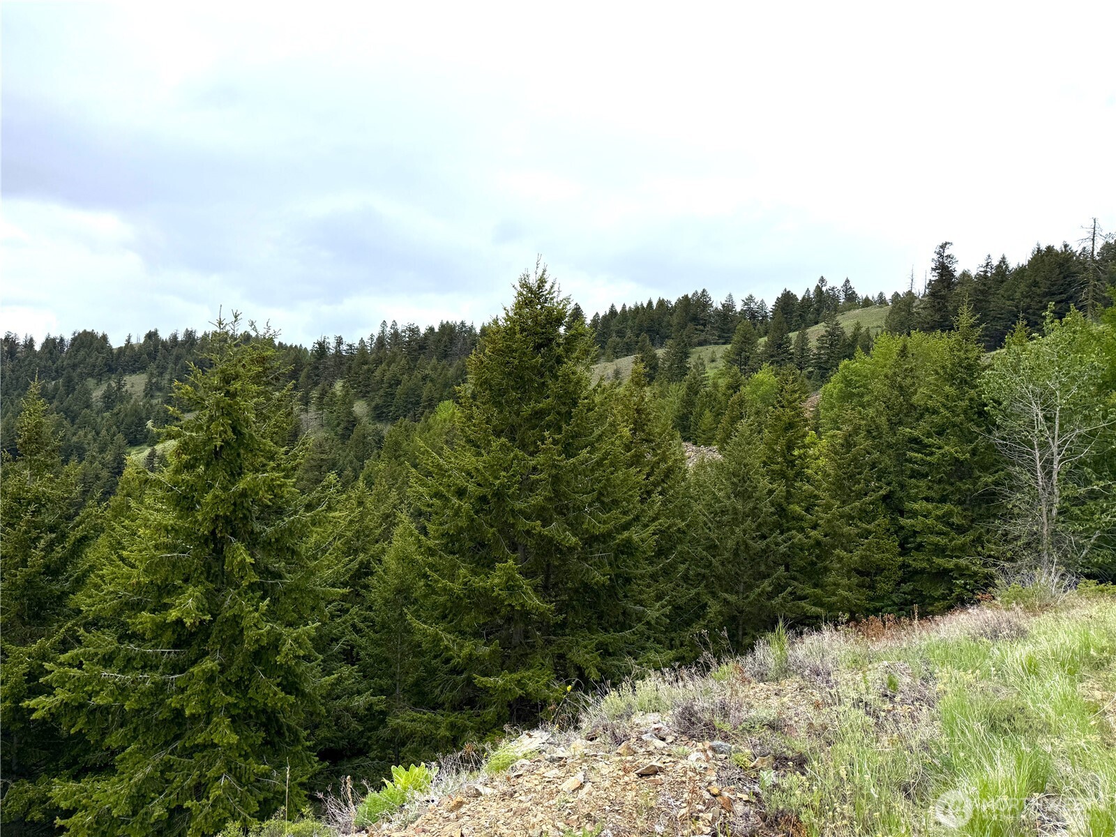 0 Pontiac Ridge Road Oroville, WA 98844 - Photo 16 of 21