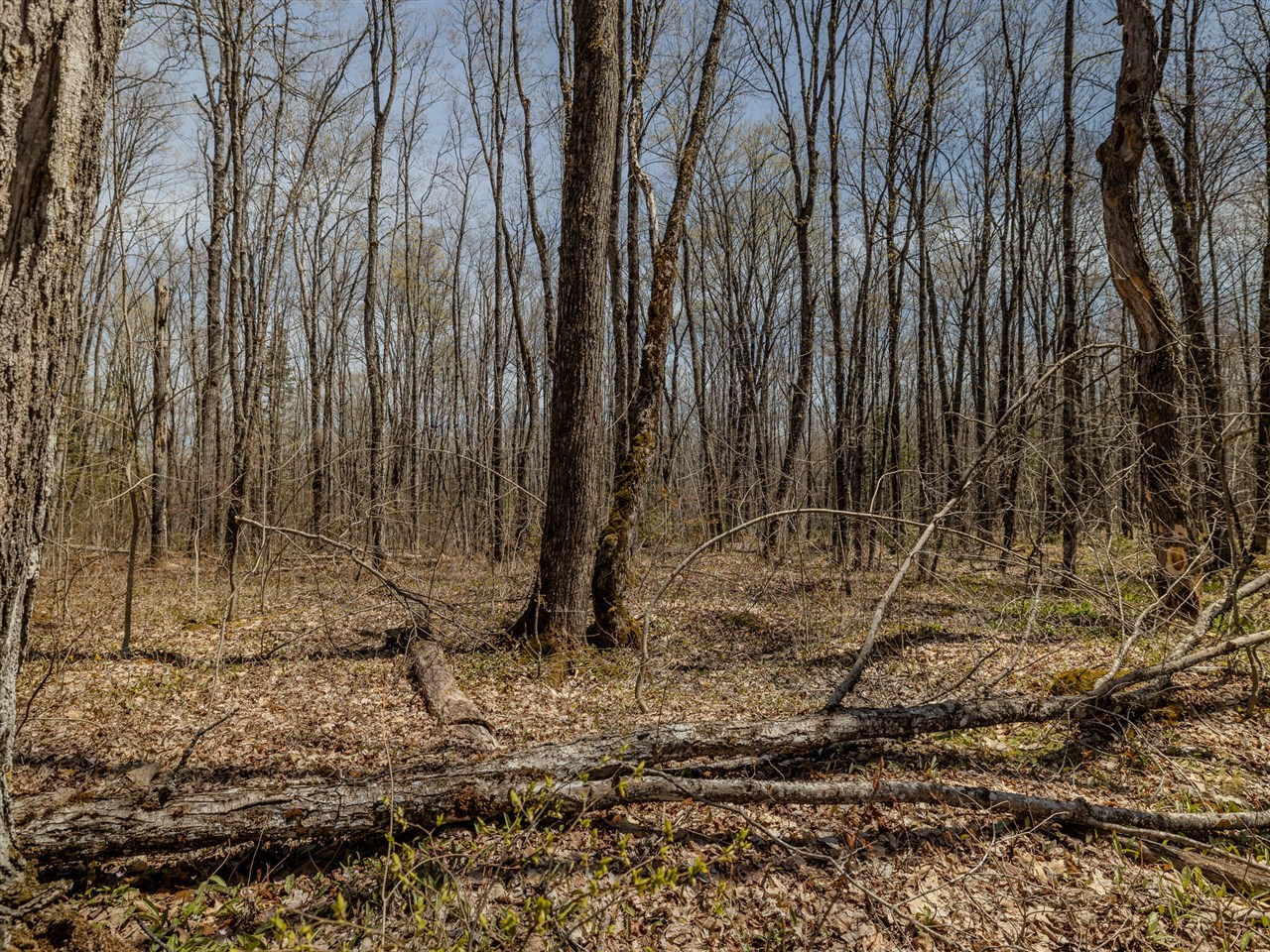 Lot 2 East Shore Road Bergland, MI 49910 - Photo 7 of 25