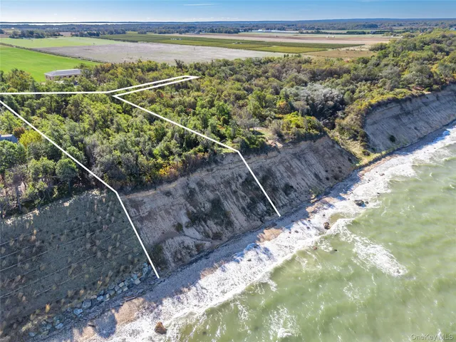 a view of a yard with wooden floor