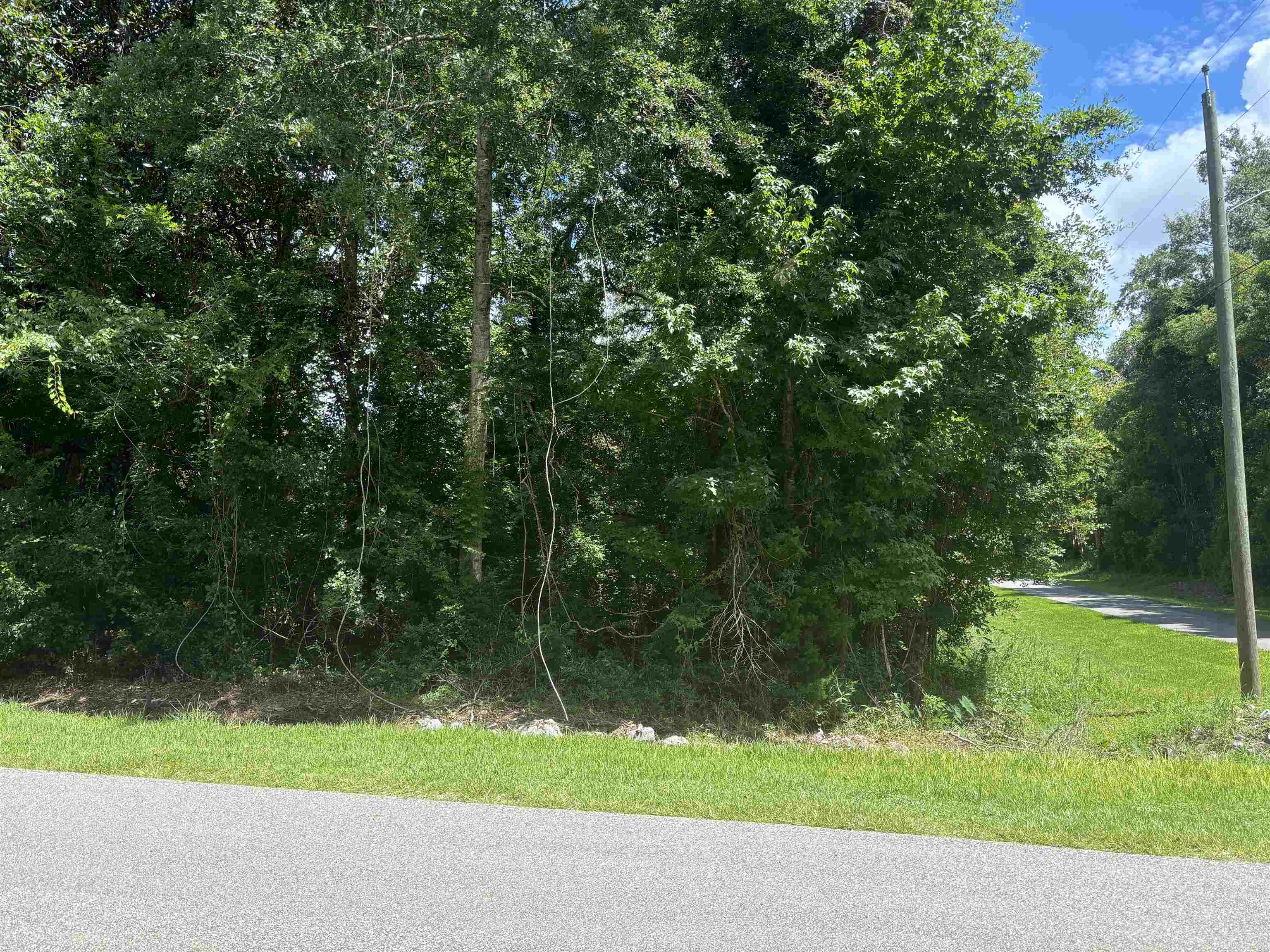 0 1st Avenue Silverhill, AL 36576 - Photo 2 of 5 Community