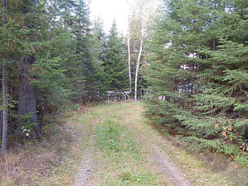 357 Little Madawaska Lake Road Stockholm, ME 04783 - Photo 8 of 28 Yard/Garden.