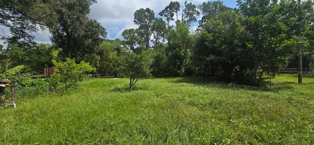 9060 Alan Boulevard Punta Gorda, FL 33982 - Photo 19 of 20 a view of a park