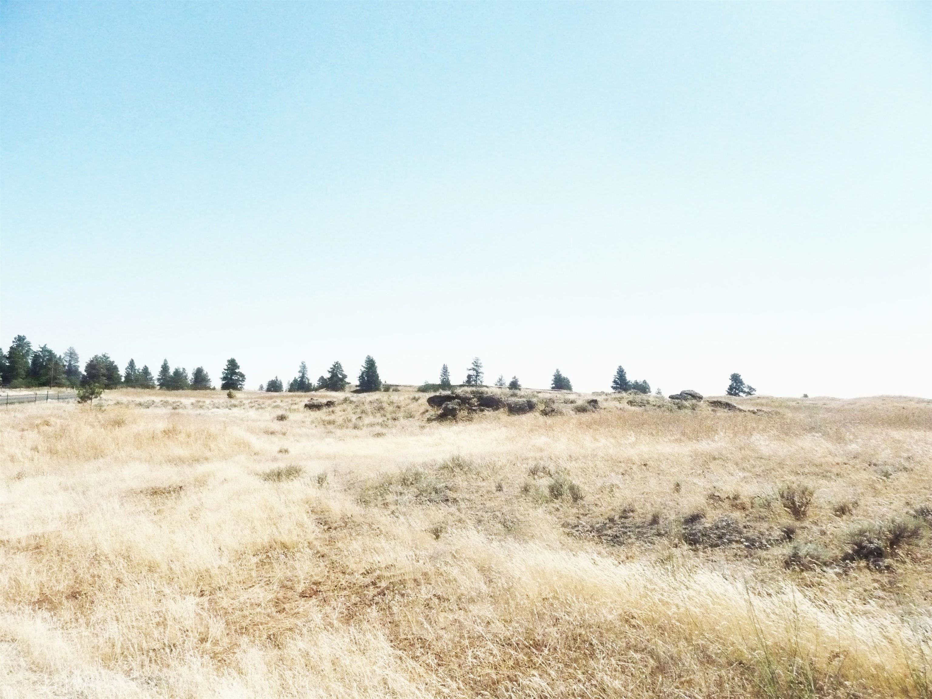 0000 West Williams Lake Road Cheney, WA 99004 - Photo 4 of 11