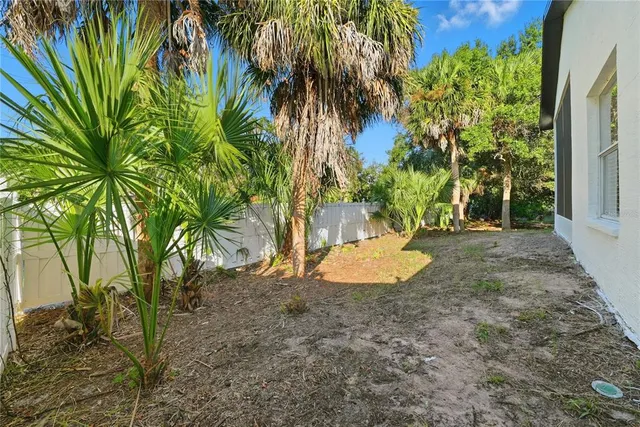 a view of a backyard with plants