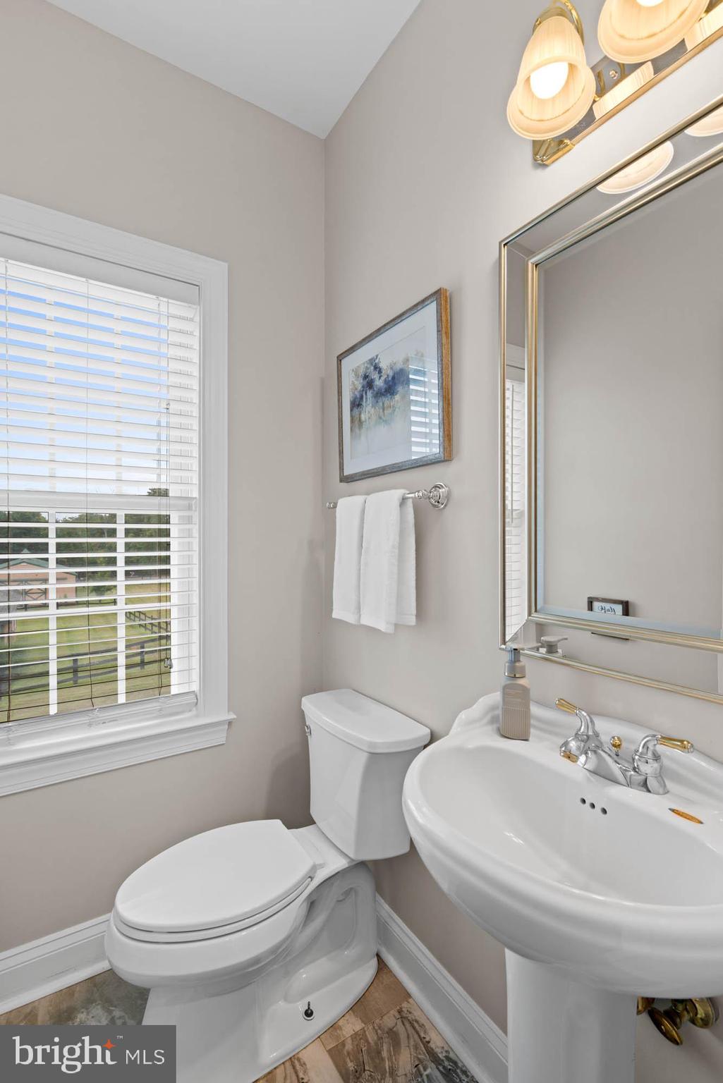 9163 Old Waterloo Road Warrenton, VA 20186 - Photo 19 of 73 a bathroom with a sink a toilet and a mirror