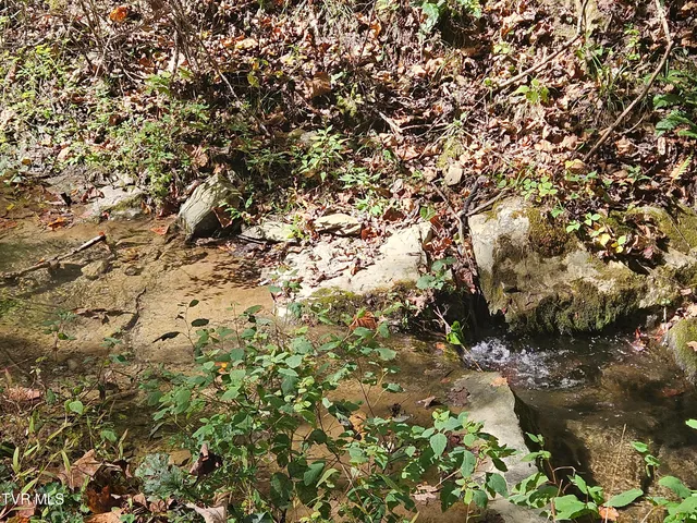 $99,000 | 14322 Smith Creek Road, Unit 12, Abingdon, VA 24210