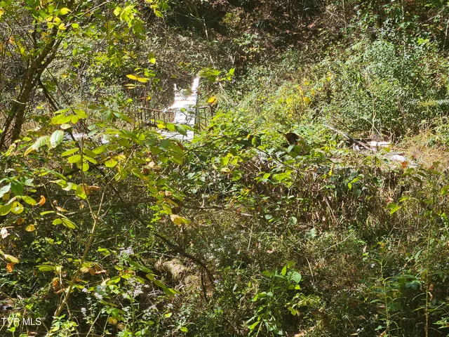 $99,000 | 14322 Smith Creek Road, Unit 12, Abingdon, VA 24210