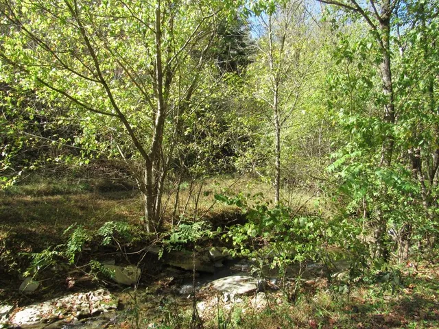 $99,000 | 14322 Smith Creek Road, Unit 12, Abingdon, VA 24210