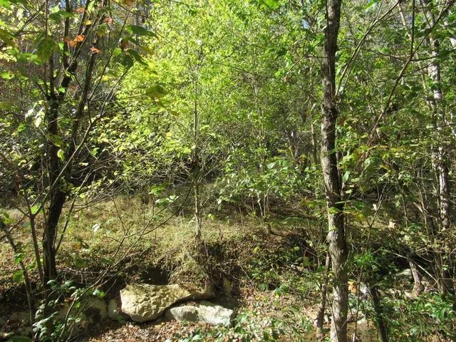 $99,000 | 14322 Smith Creek Road, Unit 12, Abingdon, VA 24210