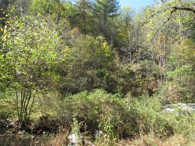 $99,000 | 14322 Smith Creek Road, Unit 12, Abingdon, VA 24210