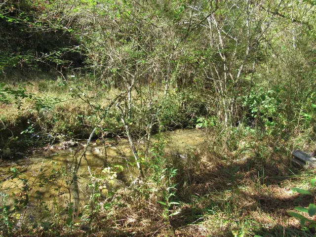 $99,000 | 14322 Smith Creek Road, Unit 12, Abingdon, VA 24210