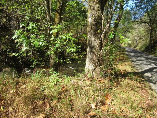 $99,000 | 14322 Smith Creek Road, Unit 12, Abingdon, VA 24210