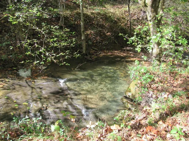 $99,000 | 14322 Smith Creek Road, Unit 12, Abingdon, VA 24210