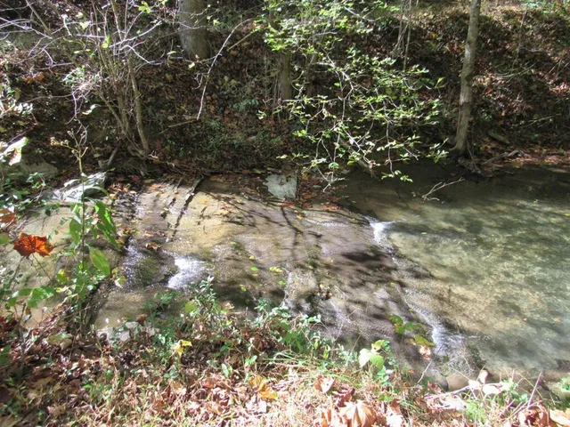 $99,000 | 14322 Smith Creek Road, Unit 12, Abingdon, VA 24210