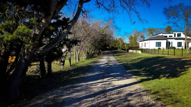 a view of a park with large trees