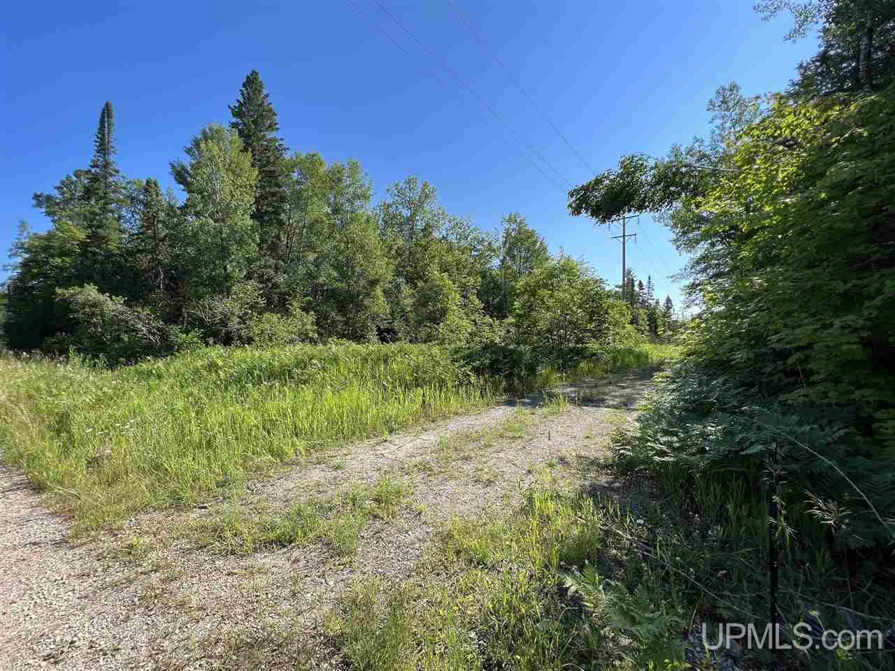 Tbd Tbd H-15 Shingleton, MI 49884 - Photo 2 of 23