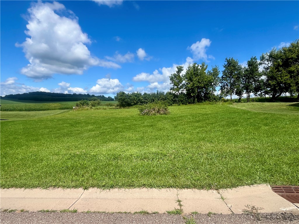 26316 West 3rd Avenue Eleva, WI 54738 - Photo 2 of 3