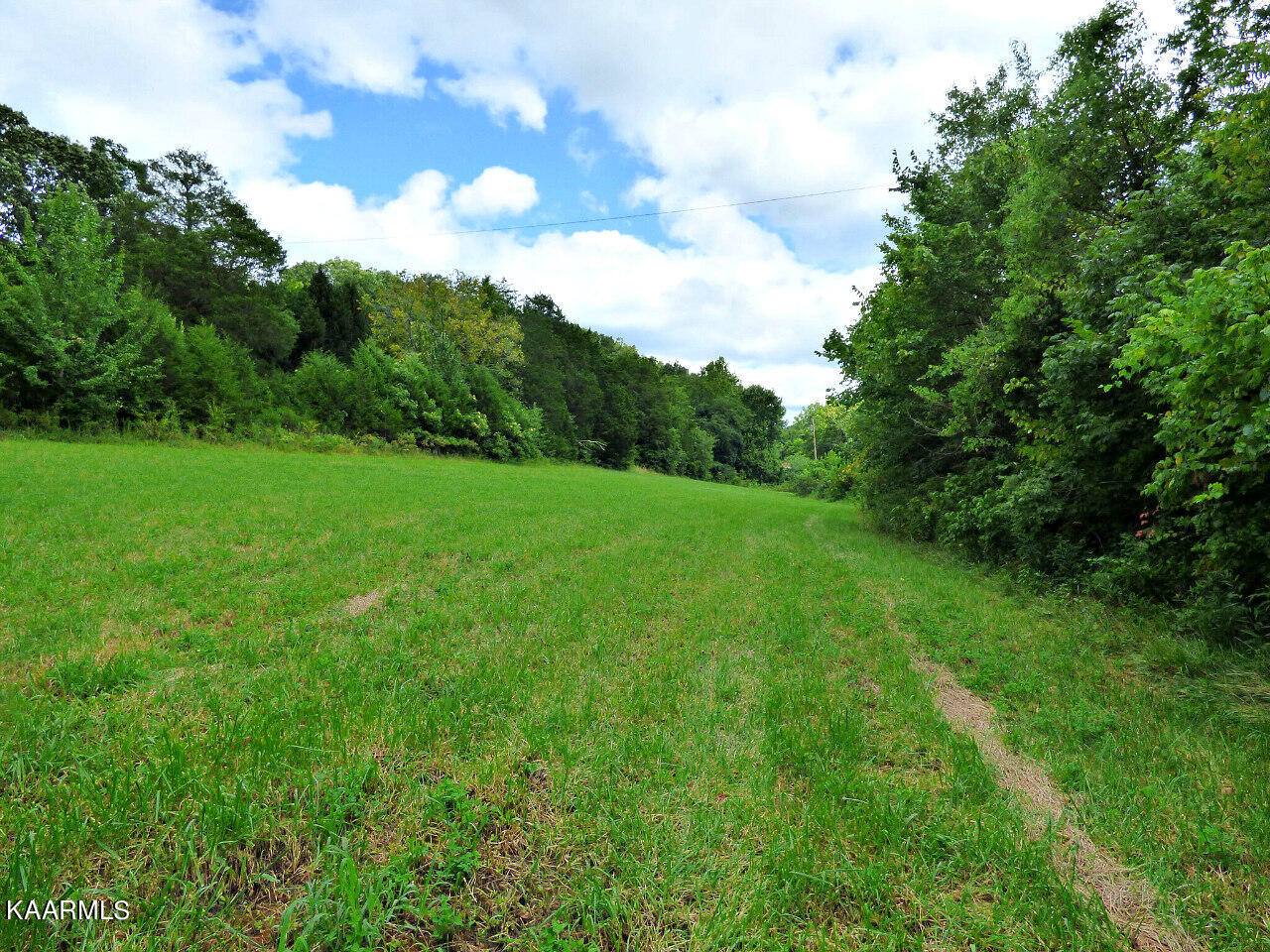 2 Cody Road White Pine, TN 37890 - Photo 3 of 4 P1280217