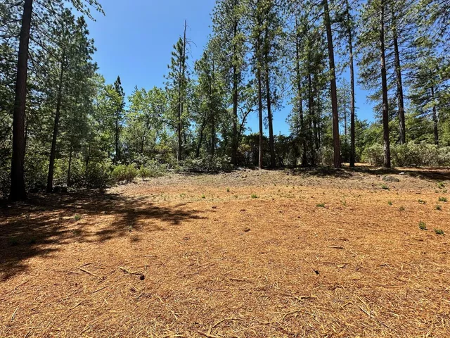 $575,000 | 1815 East Summit View Dr Meadow Vista, Meadow Vista, CA 95722