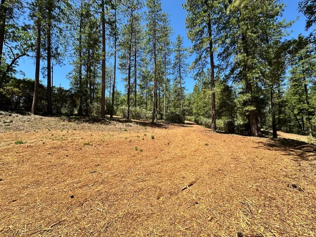 $575,000 | 1815 East Summit View Dr Meadow Vista, Meadow Vista, CA 95722