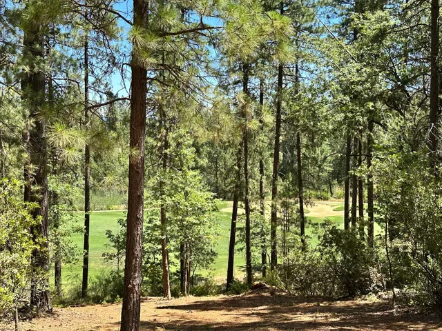 $575,000 | 1815 East Summit View Dr Meadow Vista, Meadow Vista, CA 95722