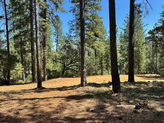 $575,000 | 1815 East Summit View Dr Meadow Vista, Meadow Vista, CA 95722