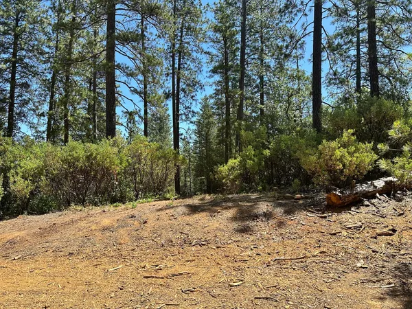 $575,000 | 1815 East Summit View Dr Meadow Vista, Meadow Vista, CA 95722