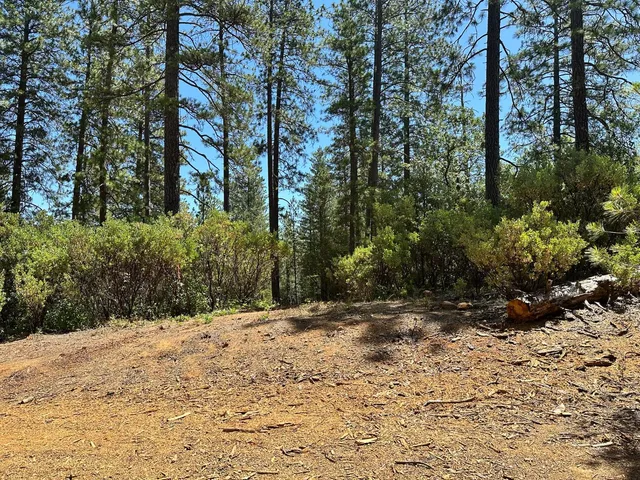 $575,000 | 1815 East Summit View Dr Meadow Vista, Meadow Vista, CA 95722