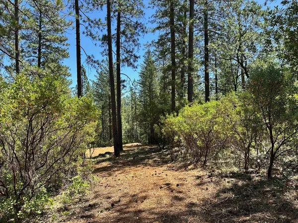 $575,000 | 1815 East Summit View Dr Meadow Vista, Meadow Vista, CA 95722