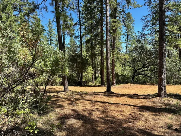 $575,000 | 1815 East Summit View Dr Meadow Vista, Meadow Vista, CA 95722