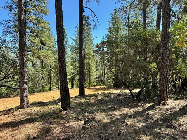 $575,000 | 1815 East Summit View Dr Meadow Vista, Meadow Vista, CA 95722