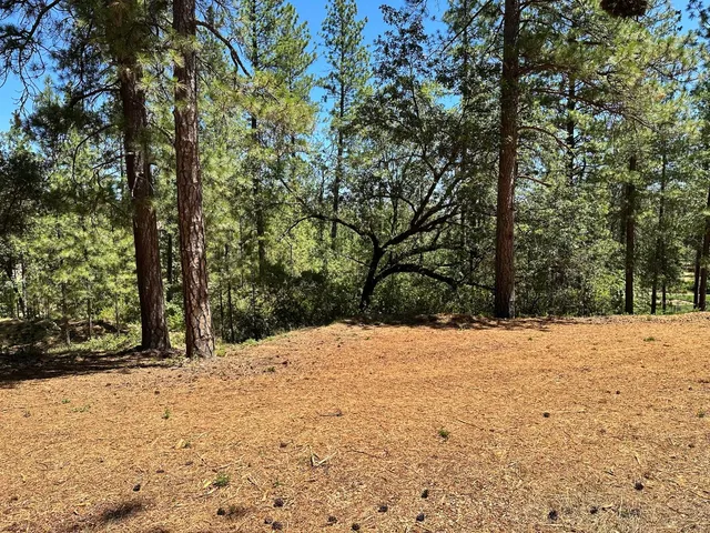 $575,000 | 1815 East Summit View Dr Meadow Vista, Meadow Vista, CA 95722