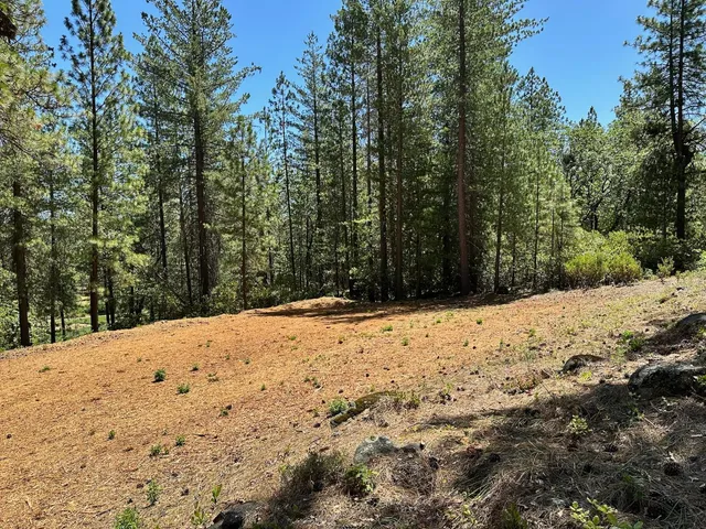 $575,000 | 1815 East Summit View Dr Meadow Vista, Meadow Vista, CA 95722