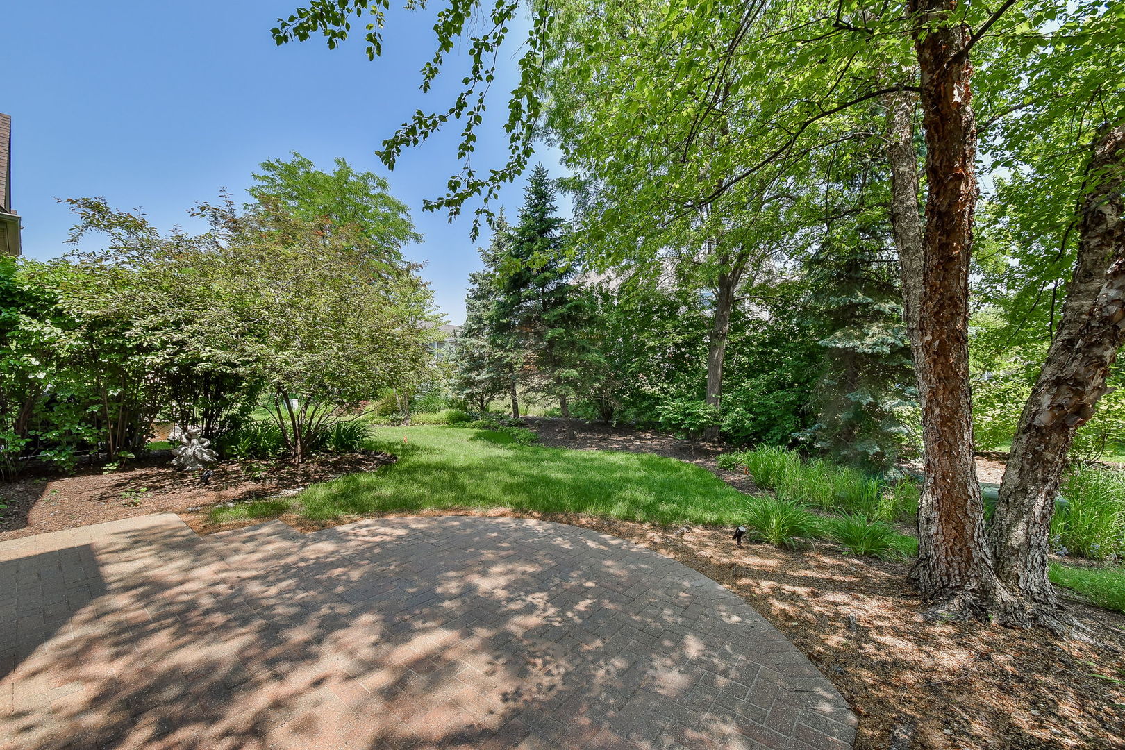 2003 Mackenzie Place Wheaton, IL 60187 - Photo 24 of 25 a view of a yard with plants and a large tree