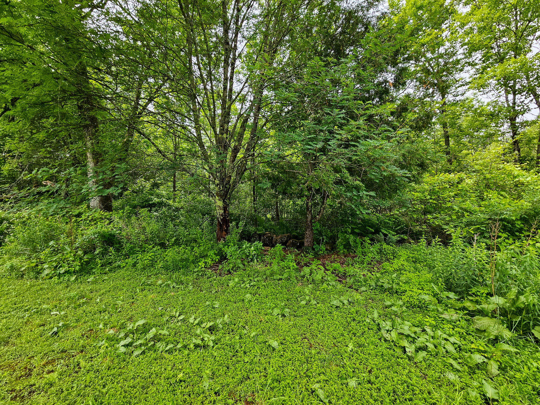 42 Zions Hill Road Chesterville, ME 04938 - Photo 18 of 60 20260622_120755