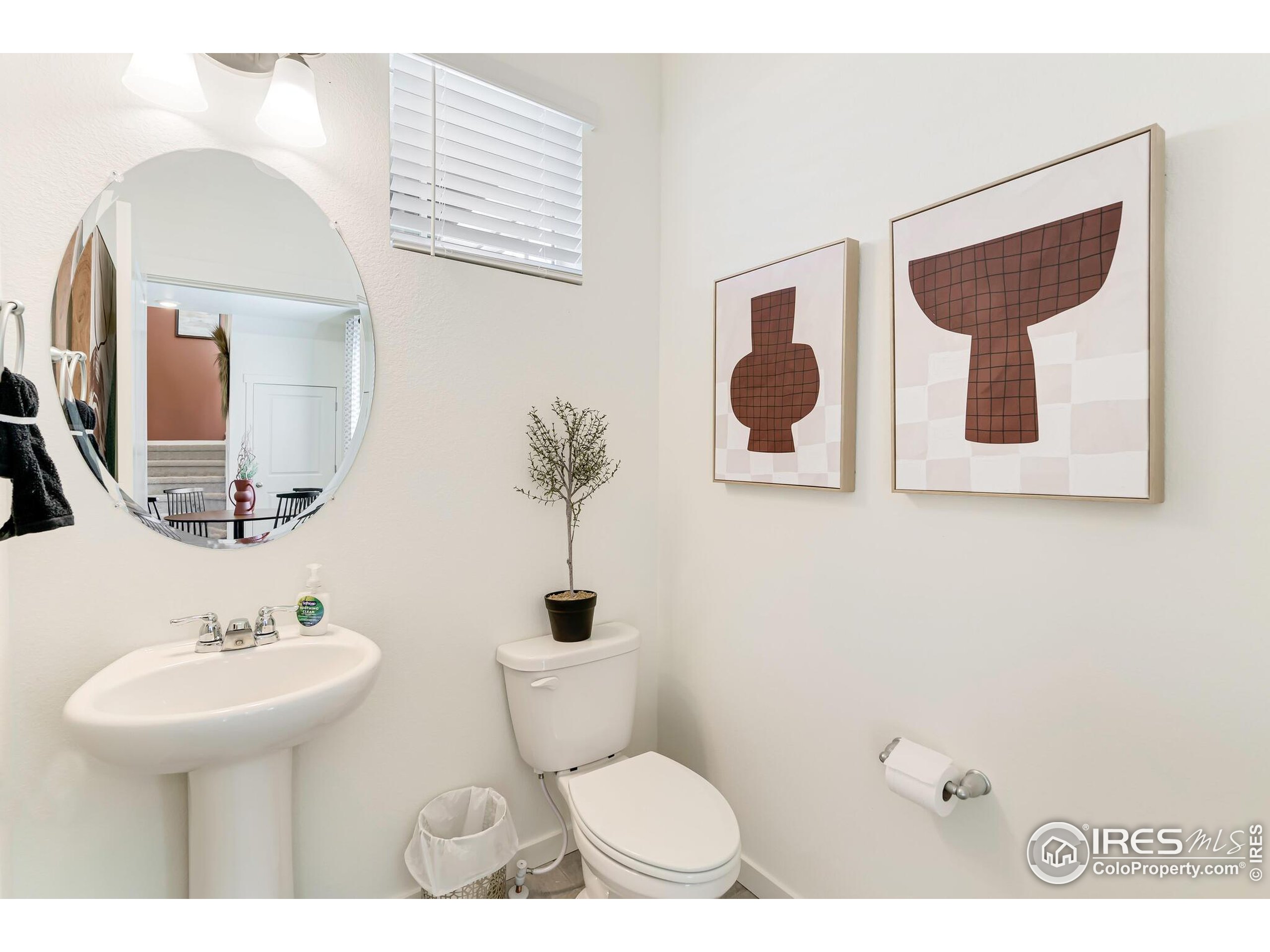 920 Logan Peak Way Berthoud, CO 80513 - Photo 14 of 35 a bathroom with a toilet a sink and mirror