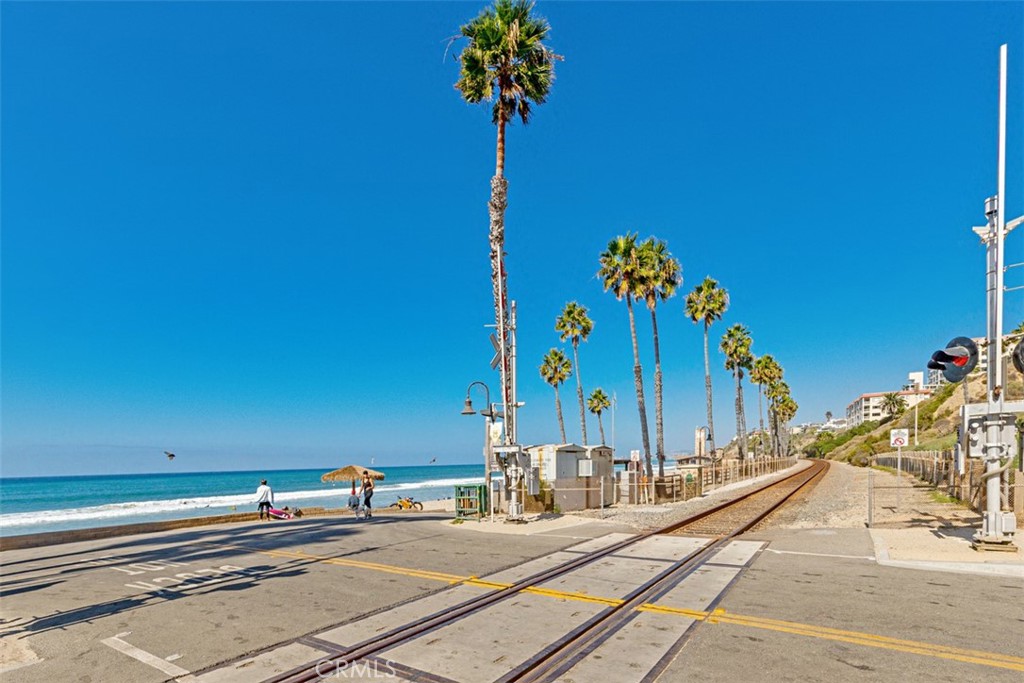 137 West Avenida Cornelio San Clemente, CA 92672 - Photo 30 of 48 a vase of flowers sitting on a floor