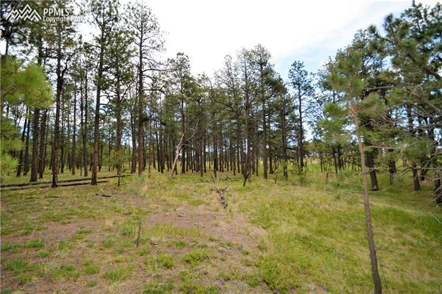 13750 Holmes Road Colorado Springs, CO 80908 - Photo 6 of 10 Gallery Image 6