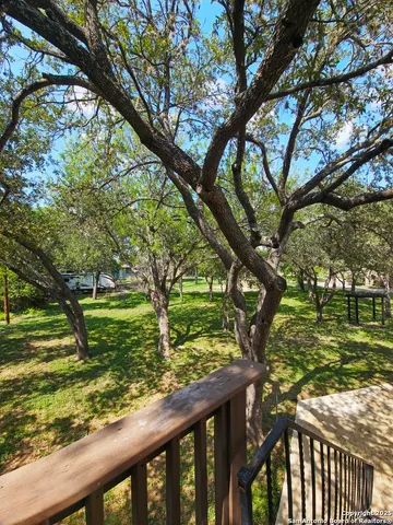 a view of a yard with large trees