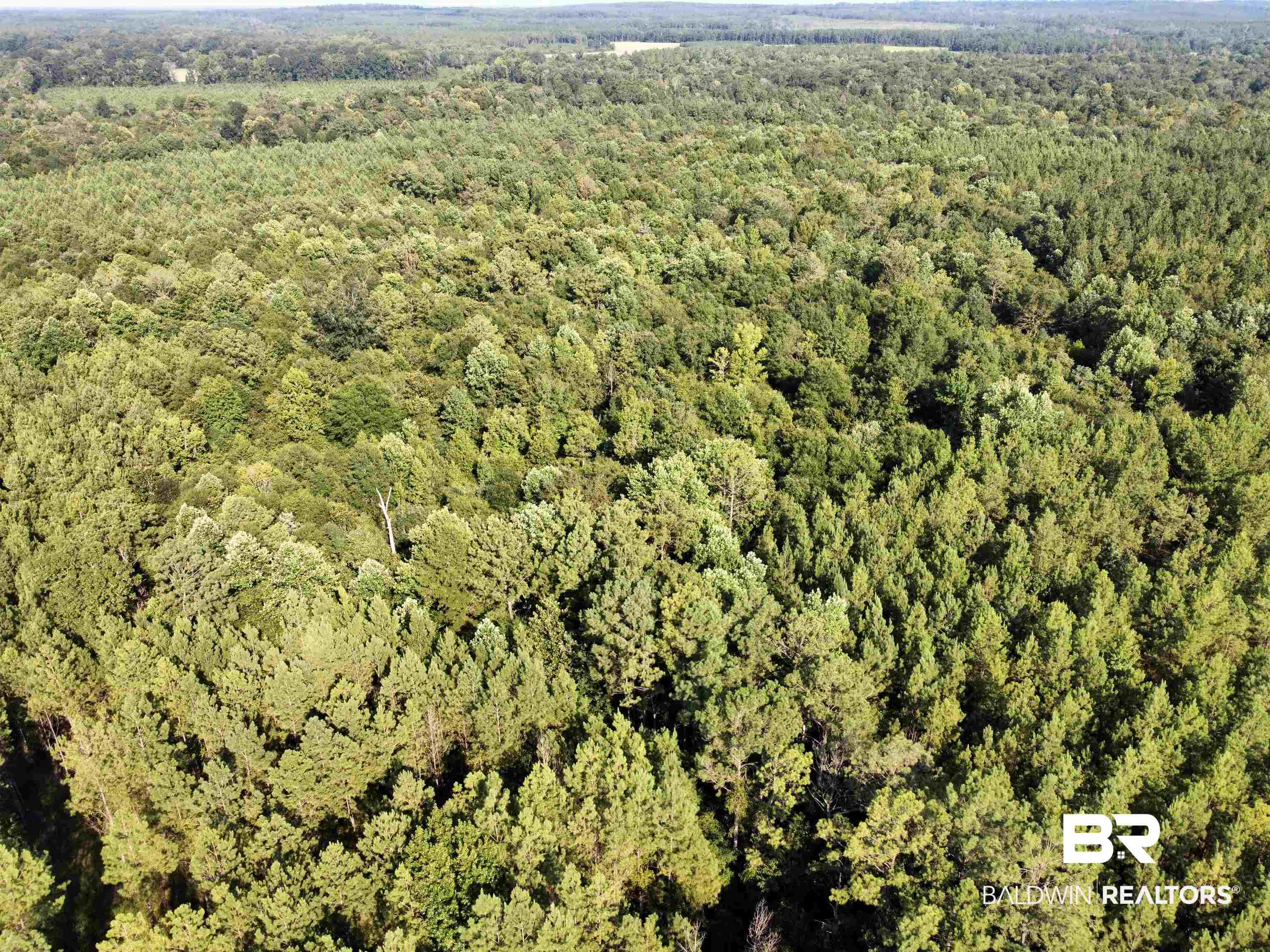 0 County Road 11 Repton, AL 36475 - Photo 28 of 34