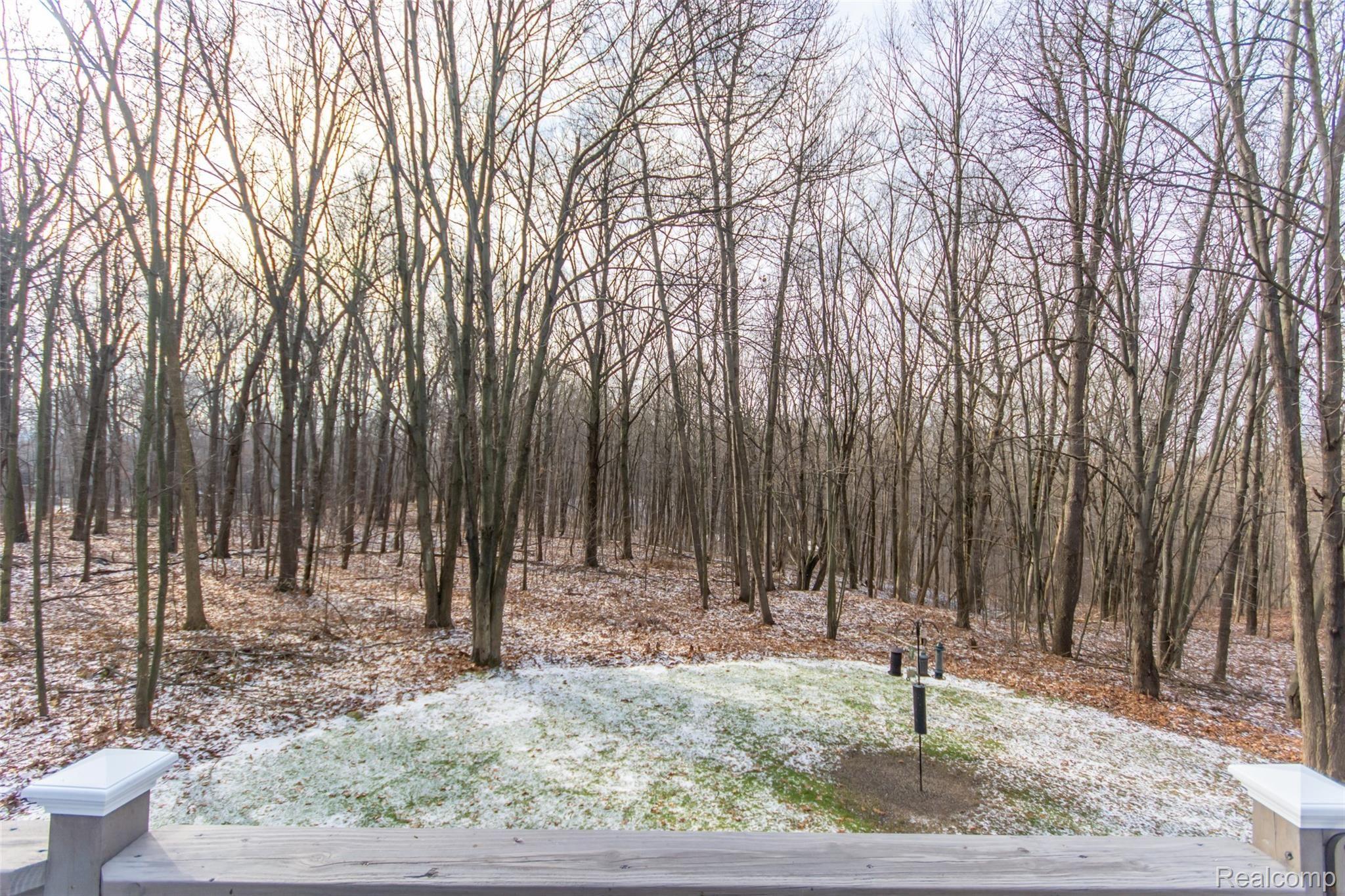 13115 Hummingbird Ridge Davisburg, MI 48350 - Photo 27 of 45 DSC_5772.jpg