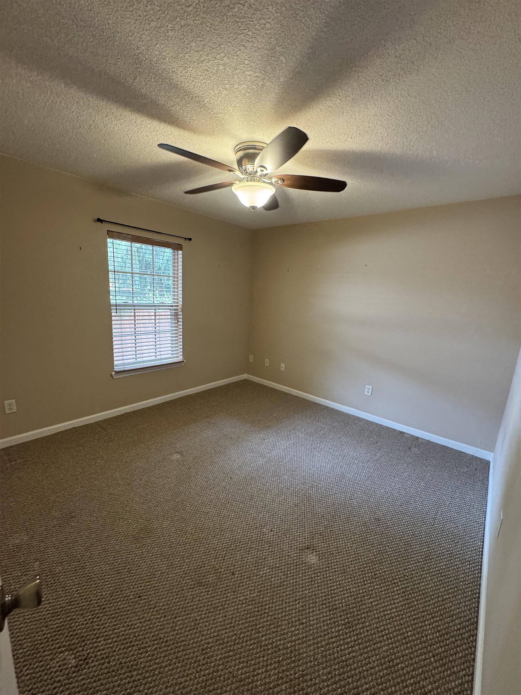 203 Estrada Avenue St. Augustine, FL 32084 - Photo 9 of 12 an empty room with windows and fan