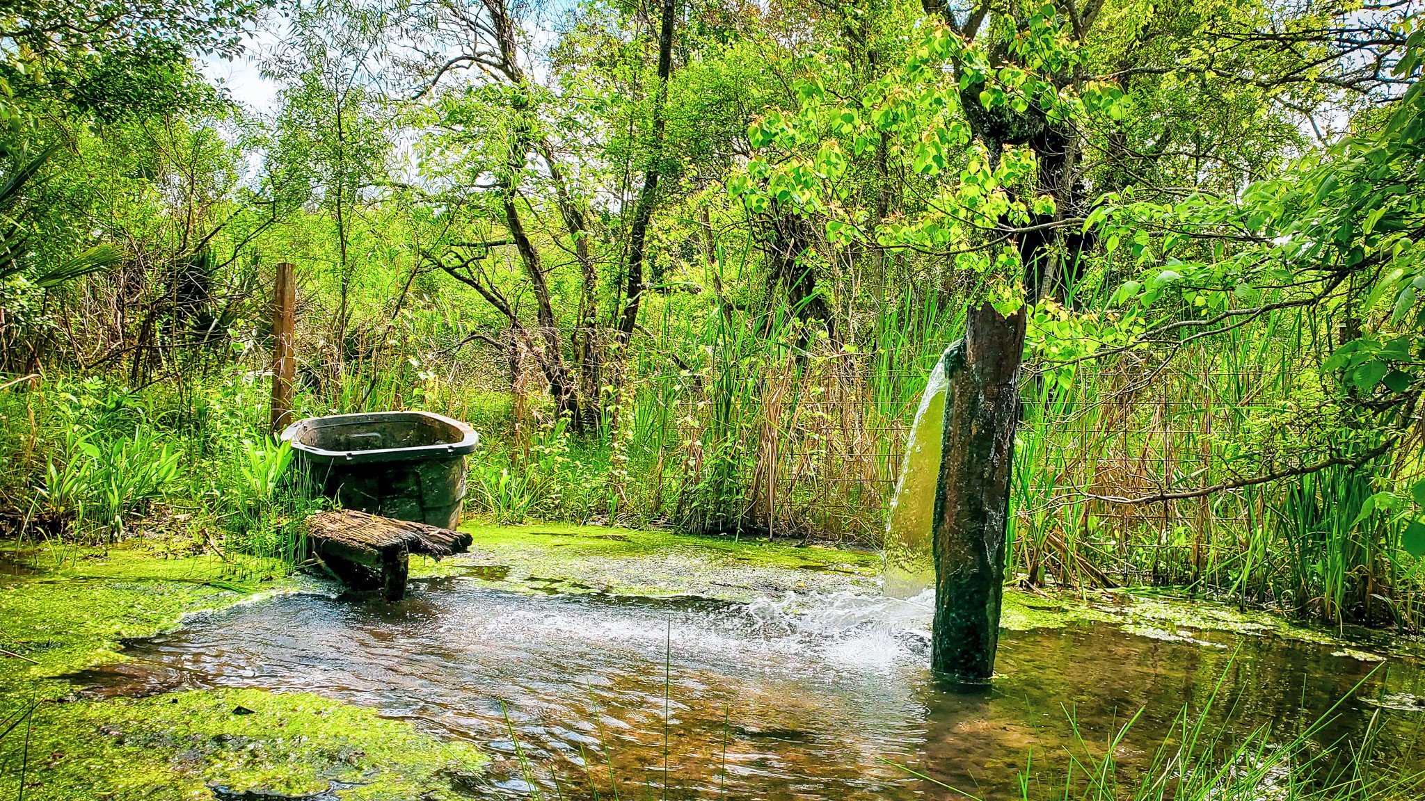 40902 Highway 105 Batson, TX 77519 - Photo 11 of 50 a view of a bench in a garden