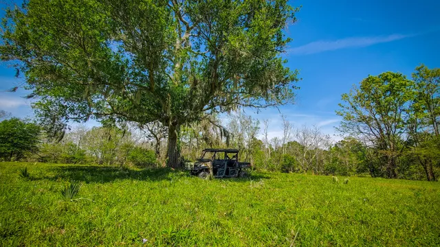 a view of a garden with an outdoor space