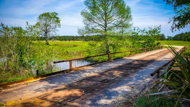 a room with lots of potted plants